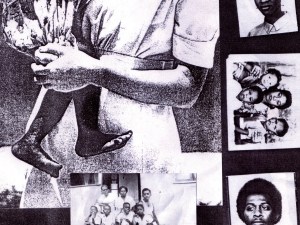 site-programmabeeld-1